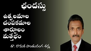 Chandassu  Vrittalu ఛందస్సు  ఉత్పలమాల  చంపకమాల  శార్దూలము  మత్తేభము [upl. by Lienhard]