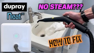 Dupray NEAT Steam Cleaner  NO STEAM or SPRAY Solved [upl. by Tabib]