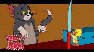 Tom y Jerry se vuelven salvajes  GenWBLatino [upl. by Arramat962]