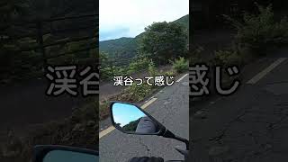 【ダイジェスト】朝焼けの京都・宇治川ラインをZ400で走る！初ヤエー体験【バイクツーリング】 [upl. by Artaed629]