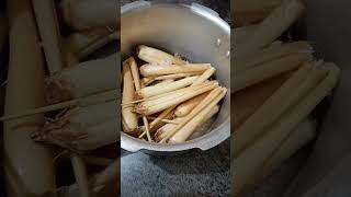 How to cook Palm Root ❤️ Panam Kizhangu 👌 palmyra sprout Shorts Video [upl. by Gilford]