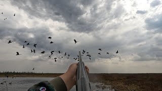 Spring Goose Hunt 2023 In James Bay [upl. by Chabot]