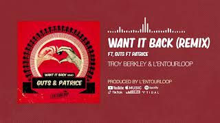 Troy Berkley amp LEntourloop  Want It Back Remix ft Guts amp Patrica Official Audio [upl. by Assirak]