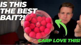 IS THIS THE BEST BAIT FOR CARP FISHING [upl. by Eneleahcim995]