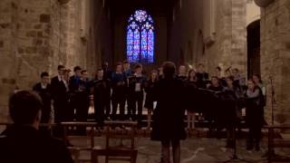 Chorale Exultemus  Anima Christi [upl. by Ilehs]