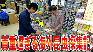 【贅沢】昆虫ショップの社長がペルーで捕まえてきた貴重な生体を見せてもらった [upl. by Asilehs]