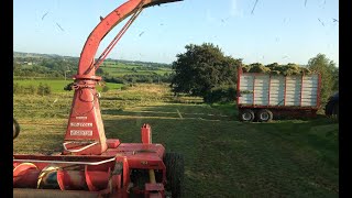 CLASSIC JF 900 harvester lifting grass silage [upl. by Malin]