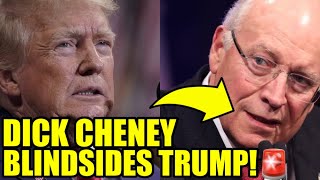 MAGA PANICS As Dick Cheney Drops BOMBSHELL On Trump [upl. by Cicely828]