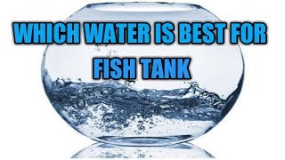 Which water is best for fish tank TAMIL  SK Aqua  SK Aquatic [upl. by Llerrom]