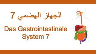 25اللغة الألمانية الطبية  الجهاز الهضمي 7  Medizinische Fachsprache  Gastrointestinales System 7 [upl. by Nada309]