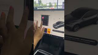 Secret Tesla prank tesla prank tech [upl. by Anifad]