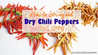 How to dry peppers on a string to make spicy chili oil or red pepper flakes [upl. by Peddada]