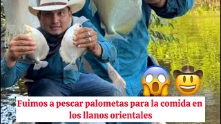 Pescando palometas en los llanos orientales acompáñenme 🤠 [upl. by Tnias]