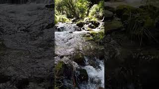 Le ruissellement de l eau d une rivière cest magnifique [upl. by Heater]