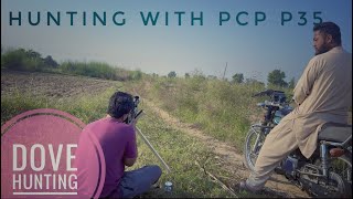 Dove hunting  HUNTING with pcp  pcp p35 [upl. by Bicknell81]