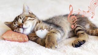 MUSIQUE POUR CHAT 1h de musique relaxante avec ronronnements pour aider les chats à dormir 💖 ♬ ♬ [upl. by Eek]