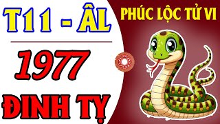 Xem Tử Vi Tháng 11 Âm Lịch Năm 2024 Cho Bản Mệnh Tuổi Đinh Tỵ 1977 [upl. by Sisco616]