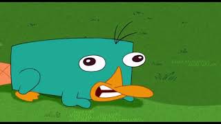 Perry The Platypus sound effect [upl. by Sivrahc]