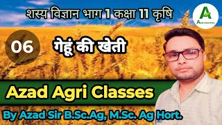 Part 6 cultivation of Wheat गेहूं की खेती Agronomy first Class 11th [upl. by Hellman229]