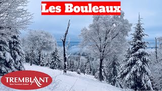 Skiing Mont Tremblants HIDDEN Glade [upl. by Josselyn]