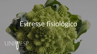 Fisiologia Vegetal  Aula 13  Estresse fisiológico [upl. by Elynad]