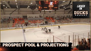 Grading the Ducks Prospect Pool and Projections [upl. by Saied95]