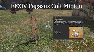 FFXIV Pegasus Colt Minion [upl. by Iva]