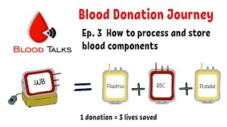 Ep3 Components Processing and Storage How donated blood being process  Blood Donation Journey [upl. by Zandt]