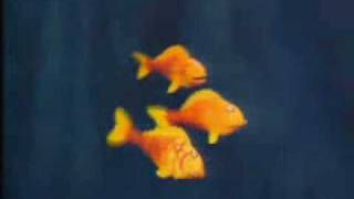 5 Little Fishies in the Sea Kids Songs [upl. by Klatt]