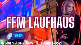 Frankfurt Laufhaus Stories  Livestream mit dansdosis [upl. by Dnomde288]