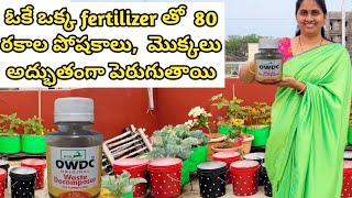 Liquid fertilizer with 80 Bacteria  Amazing uses of OWDC  preparation benefits amp usage of OWDC [upl. by Noremmac672]