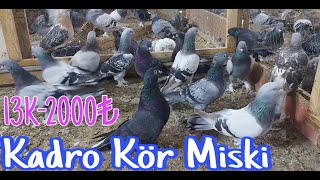 Kadro Kör Miski [upl. by Emilio283]