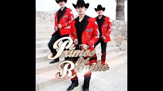 Primos Del Rancho  A Ti Te Canto GÃ¼erita En Vivo [upl. by Lokin515]