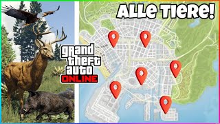 So findest du ALLE TIERE der WILDLIFE PHOTOGRAPHY CHALLENGE in GTA 5 ONLINE❗️ Tier Locations GTA 5 [upl. by Atterol]