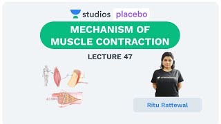 Phoenix 20 Biology Most Important Video for NEET 2025  Udaan [upl. by Annahahs]