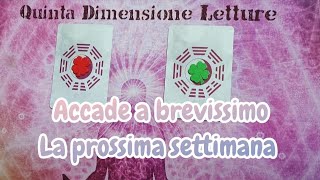 🔮PREVISIONI prossima settimana accade a breve tarocchi [upl. by Nosemyaj13]