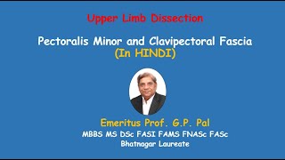 Dissection of Pect Minor and clavipectoral fascia in HINDI [upl. by Idisahc]