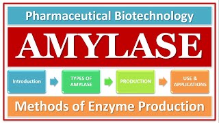 AMYLASE  TYPES OF AMYLASE  BASICS FUNCTION amp USE  AMYLASE PRODUCTION BY USING MICROBIAL STRAIN [upl. by Ynnavoj]