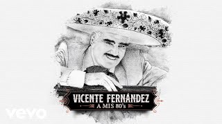 Vicente Fernández  Se Me Olvidó Otra Vez Cover Audio [upl. by Neliac]