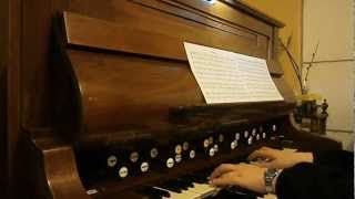 Harmonium Schiedmayer 2 manual [upl. by Pfeffer]