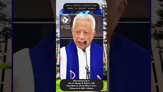 SHORT CLIP – HOMILY – REFLECTION OF REV FR BENIGNO BELTRAN SVD [upl. by Brittan]