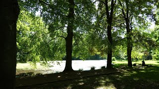 Parc Debreuil Melun 4K  Alternative song Kali  Django Wagner [upl. by Eiznikam941]