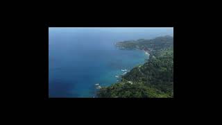 MT DILLON CASTARA TOBAGO [upl. by Cod]