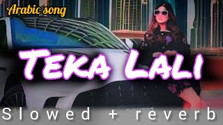 Teka Lali  slowed  reverb  arabic song  lofi lofisong [upl. by Yllah]