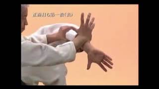 Aikido  Moriteru Ueshiba Sandai Doshu  Shomenuchi Ikkyo [upl. by Itsud]