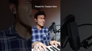 JHOOM by Ali Zafar Cover cover singer alizafar jhoom vocals piano [upl. by Oatis940]