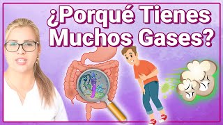 Porqué Tienes Muchos Gases  Causas Y Enfermedades Que Producen Pedos Y Flatulencias A Diario [upl. by Lamok]