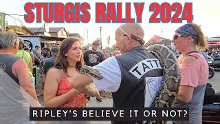 STURGIS Rally 2024 You Have to SEE it to BELIEVE it [upl. by Aisyle]