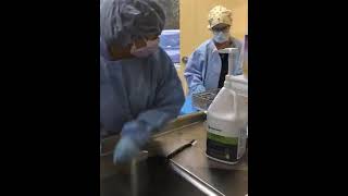 Sterile Processing Tech  Receiving Surgical Instruments from OR  AIMS Education [upl. by Sej]