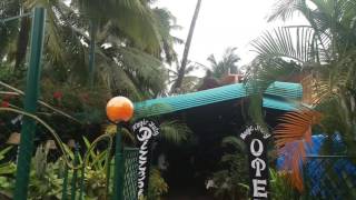 Magic Italy Restaurant amp Pizzeria Palolem Beach Goa [upl. by Dnomyar]